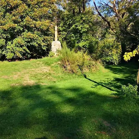 Villa Avec Le Confort Dans Le Livradois Forez